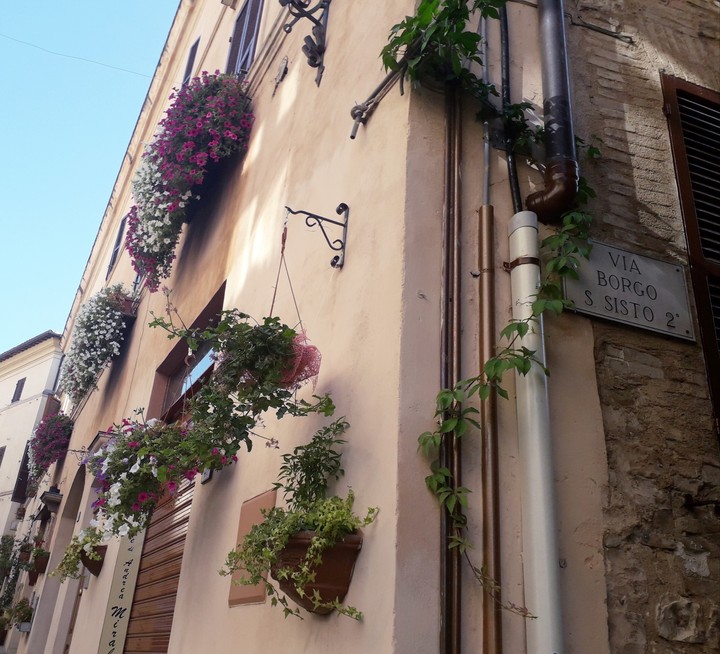 CityOfFlowersSpello