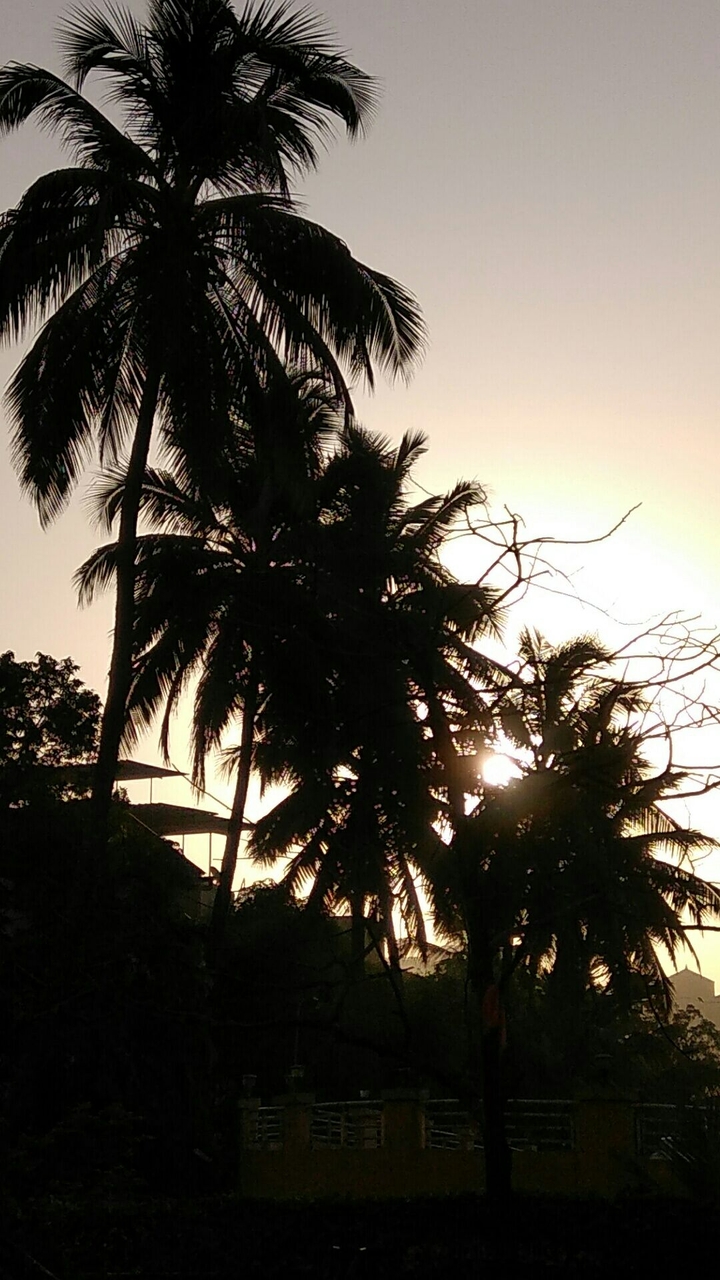 Sunrise