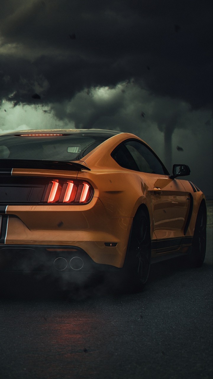 Mustang