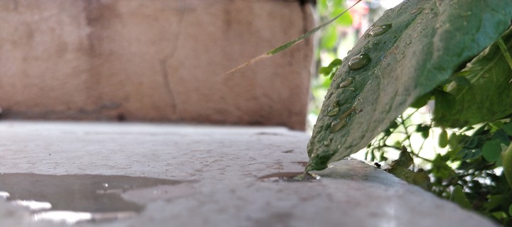 waterdrops 