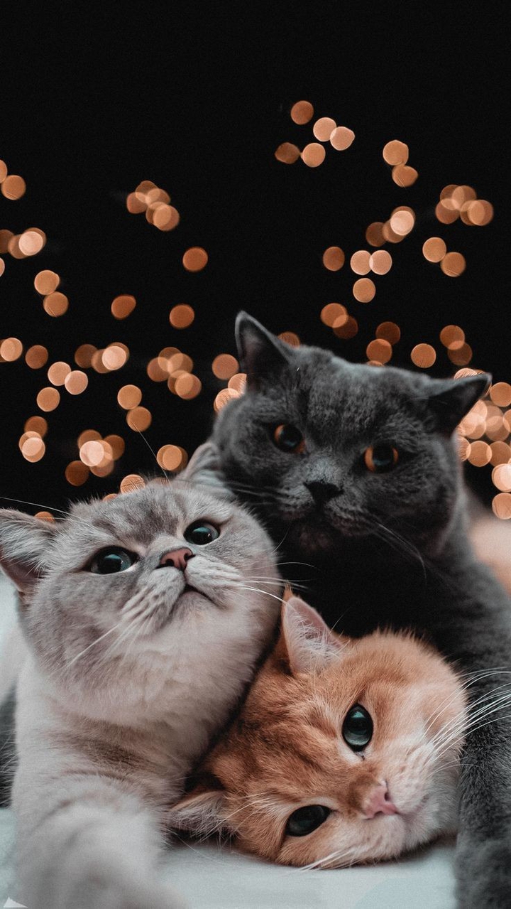 《Aesthetic wallpaper》