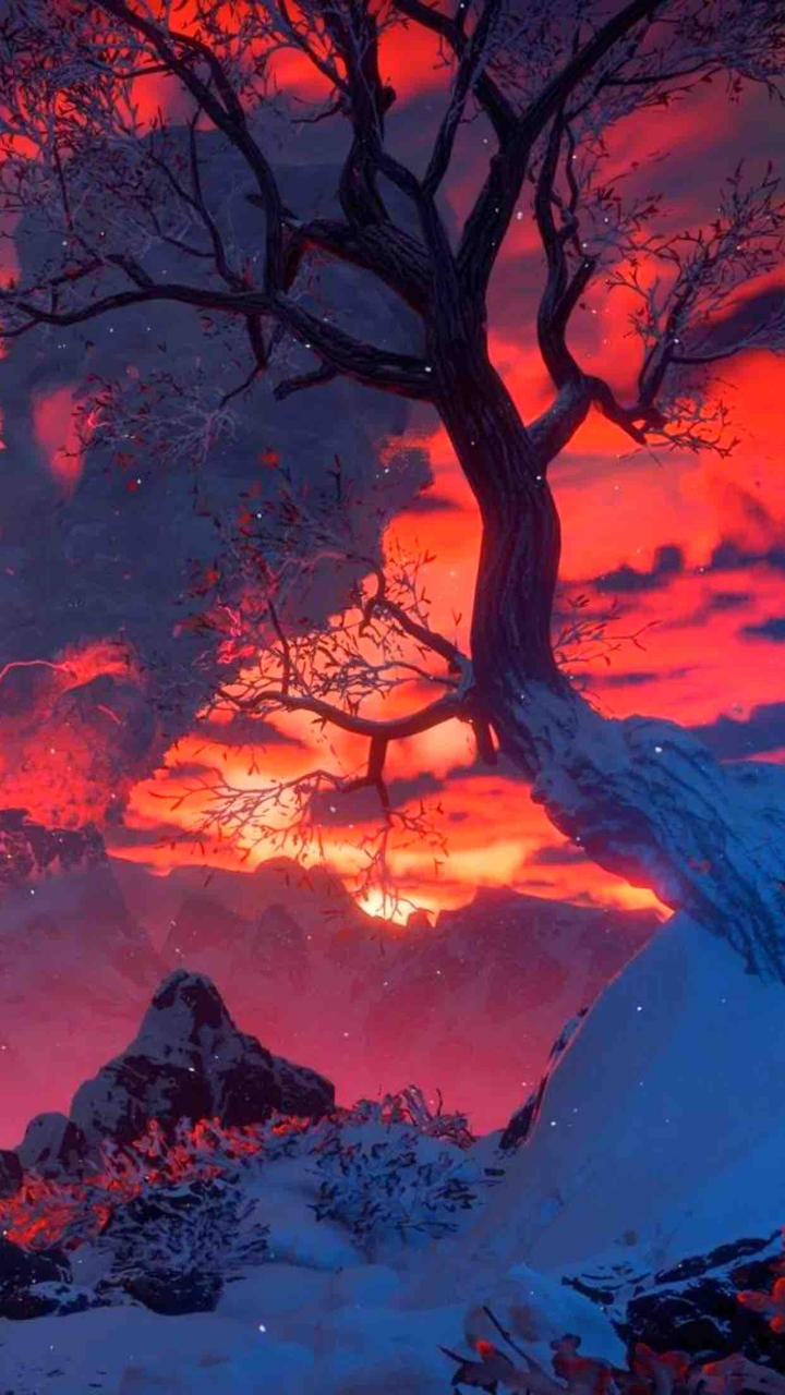 Snow, Sunset, and Ash