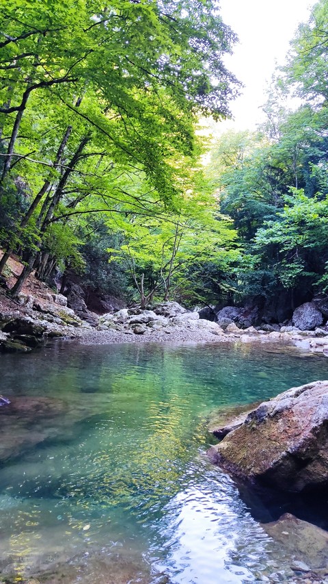 生態區, Water桌布
