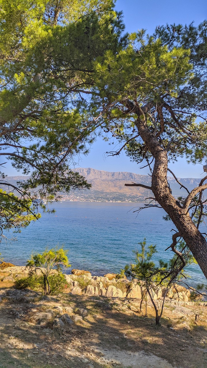 Sea