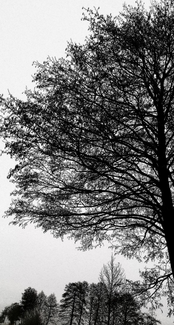 Winter day