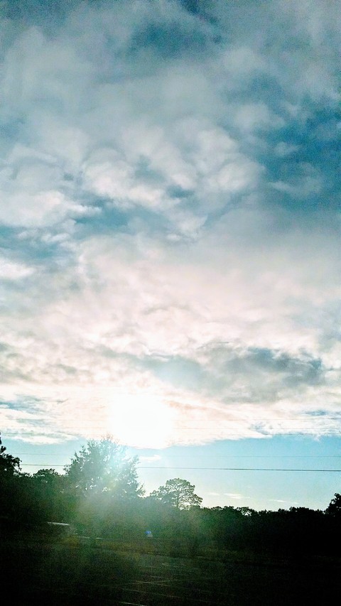 Grassland