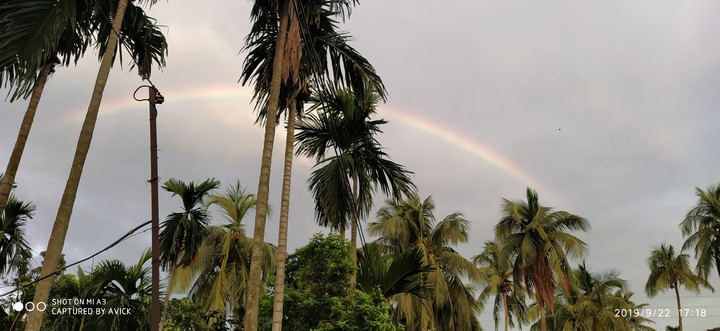 Rainbow