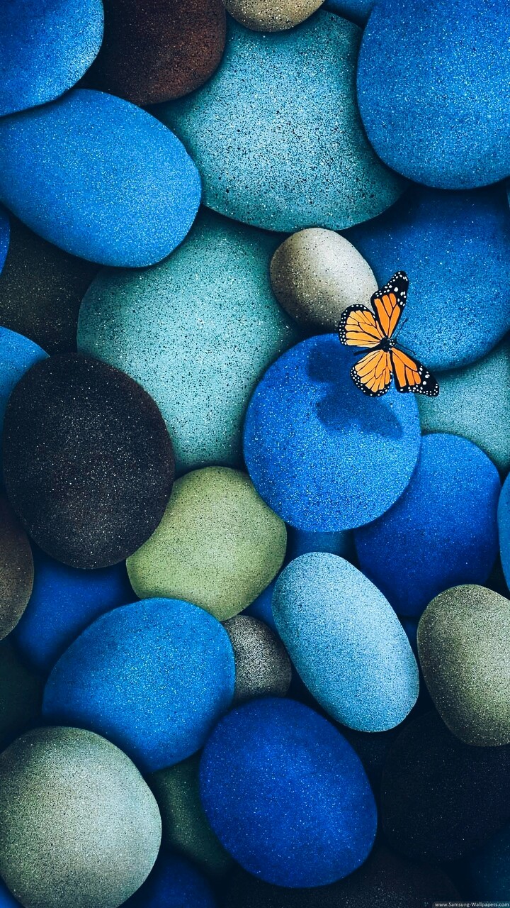 Pebbles love