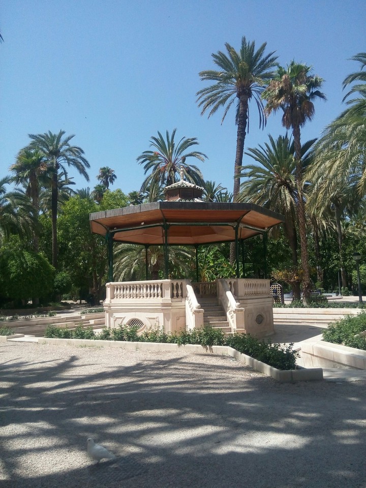 #PalmeralofElche