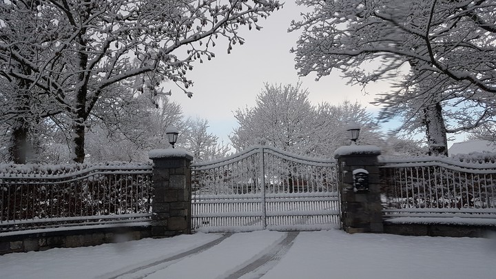 snow