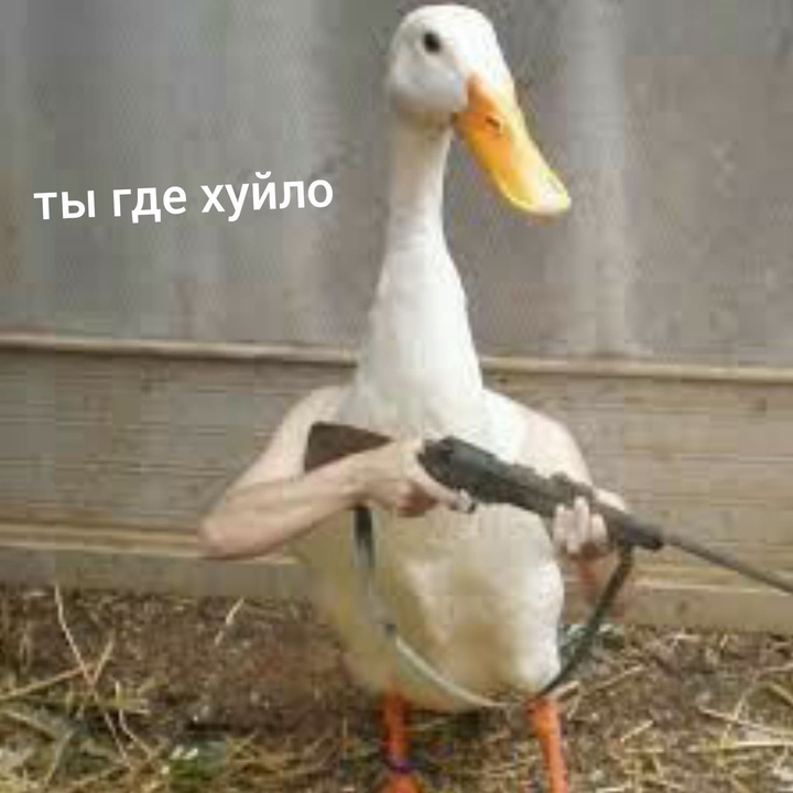 гусь
