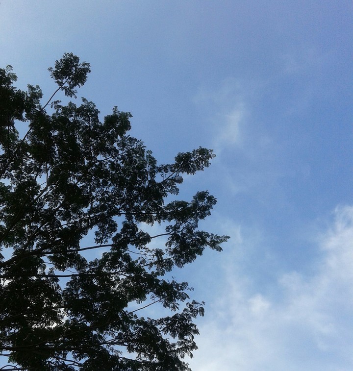blue sky