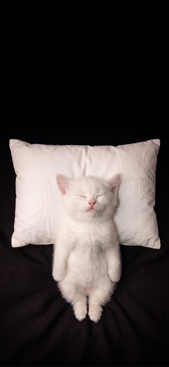 ταπετσαρίες whiskers, linens