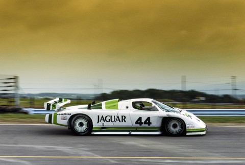 jaguar