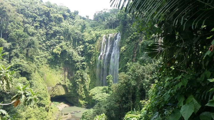 Falls
