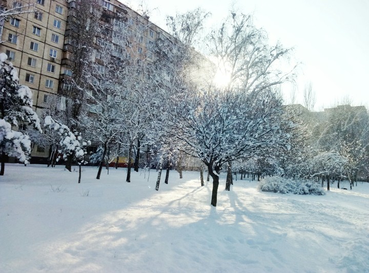 Морозное утро