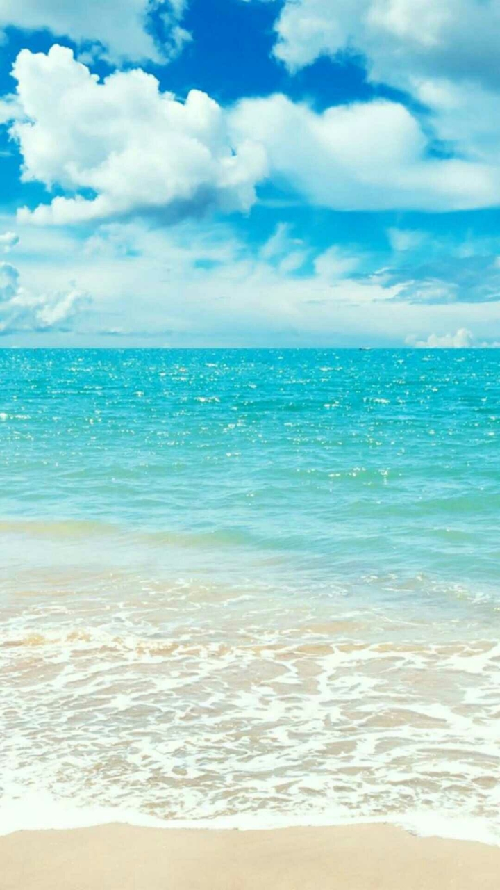 море