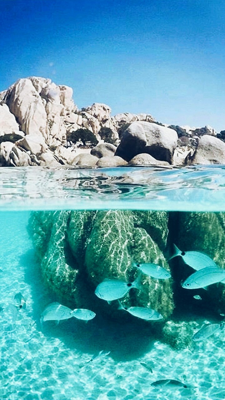 Underwater Nature