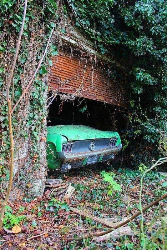 The lost world ?