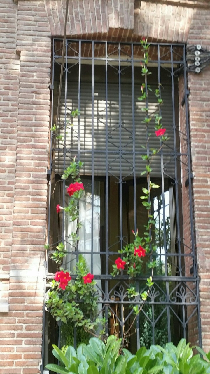 beautiful window