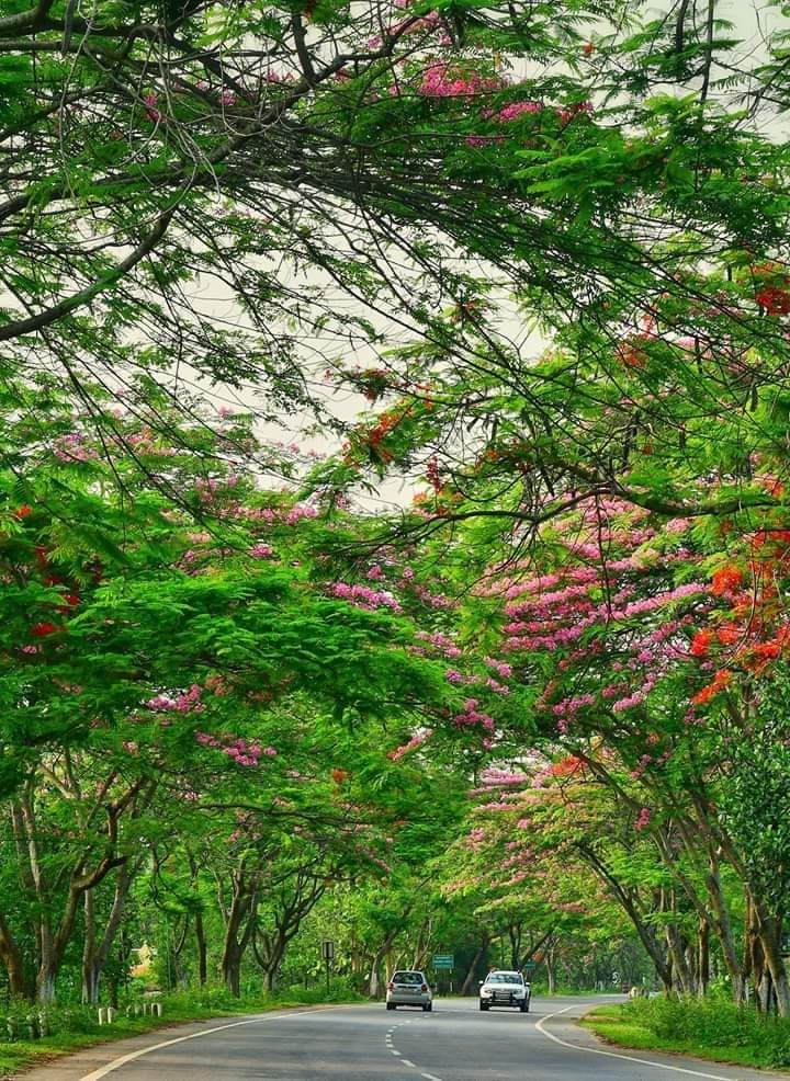 i love Nature