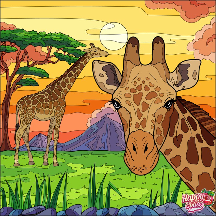 Africa