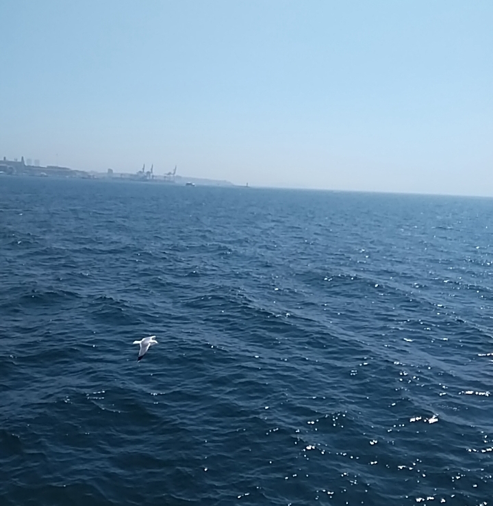 Deniz(sea)