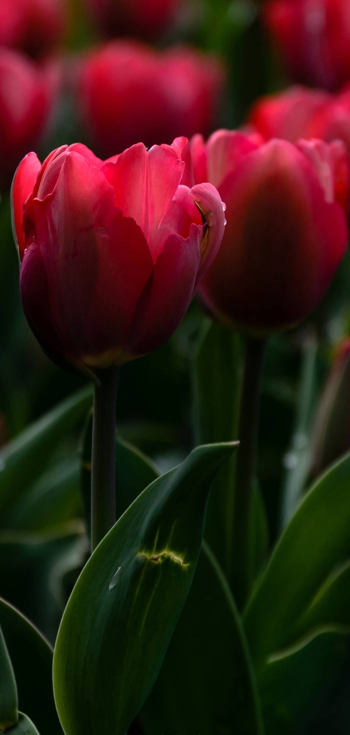 beauty of nature