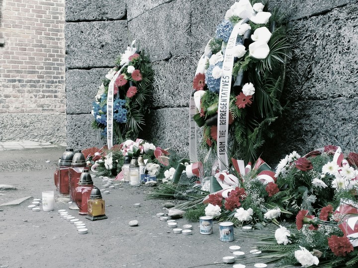 Flowers in Auschwitz
