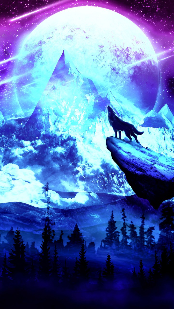 wolf