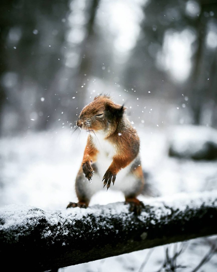 Winter