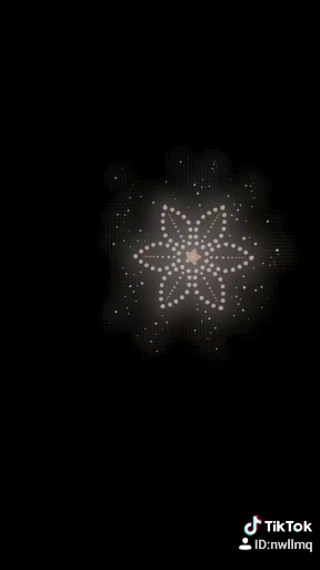 틱톡 꽃