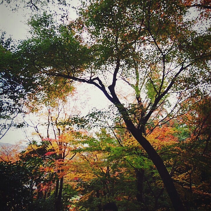 Beginning of autumn