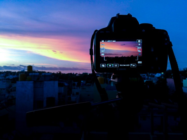 Evening glory