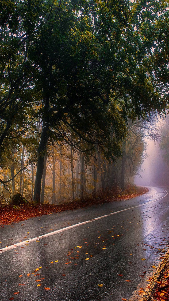 beautiful autumn