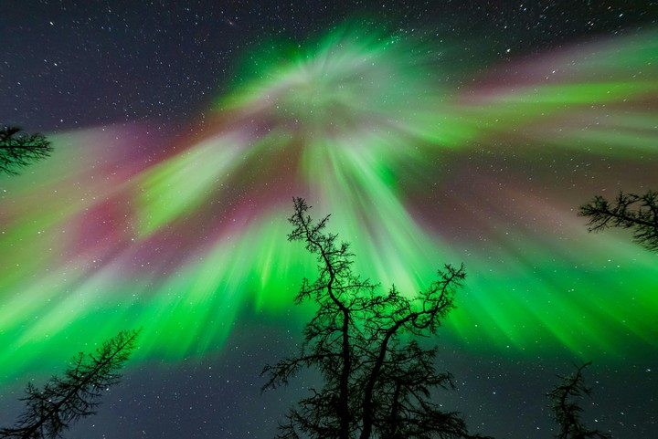 tapety purple, astronomy
