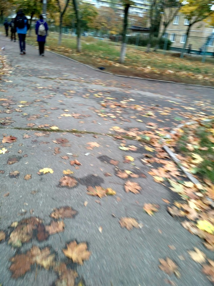 autumn street