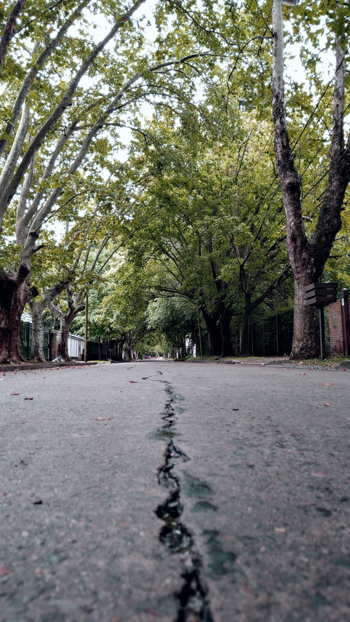 street