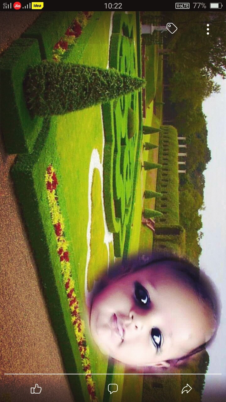 Shishu