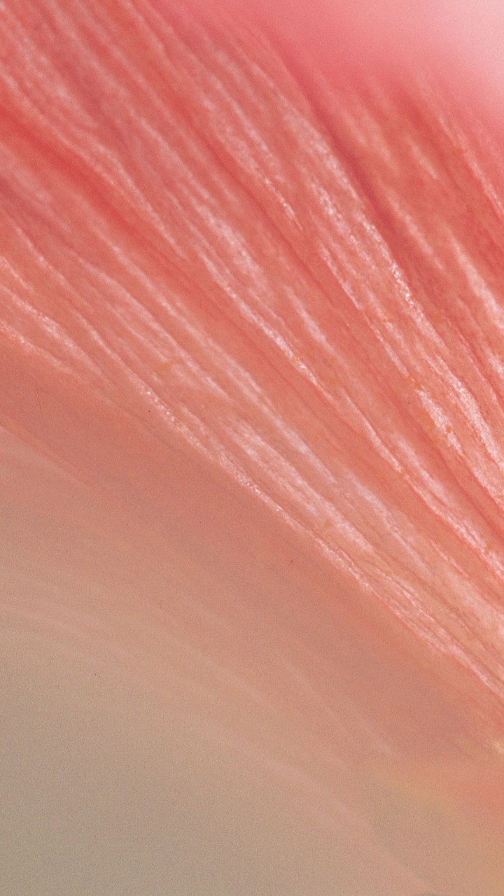 4.0