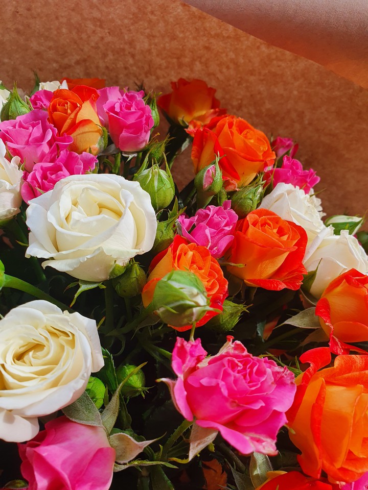 rose