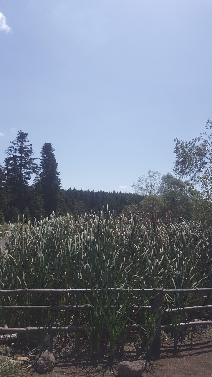 nature:)