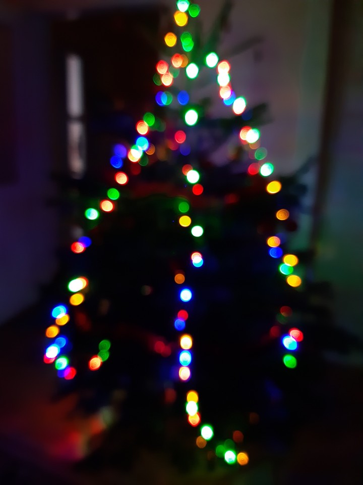 The tree ❤