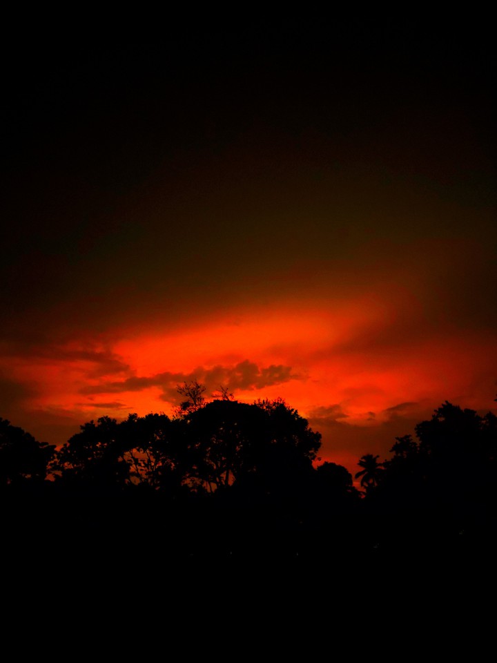 evening