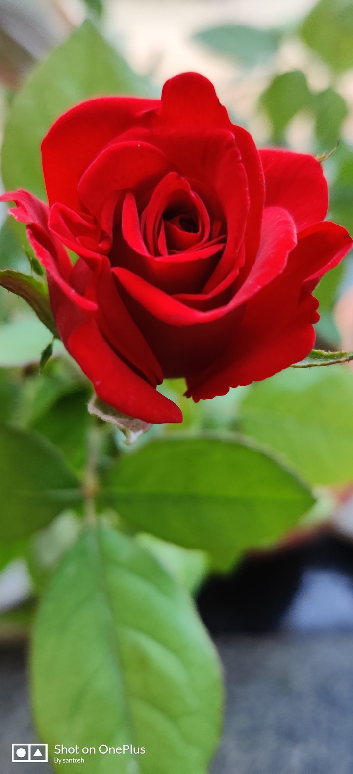 just captured beautiful?