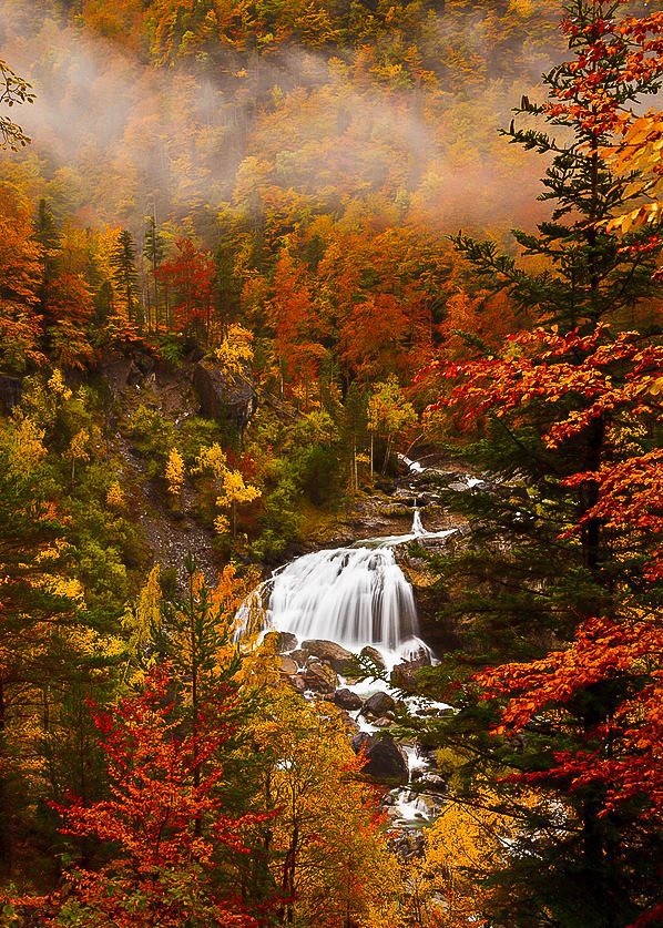 autumn