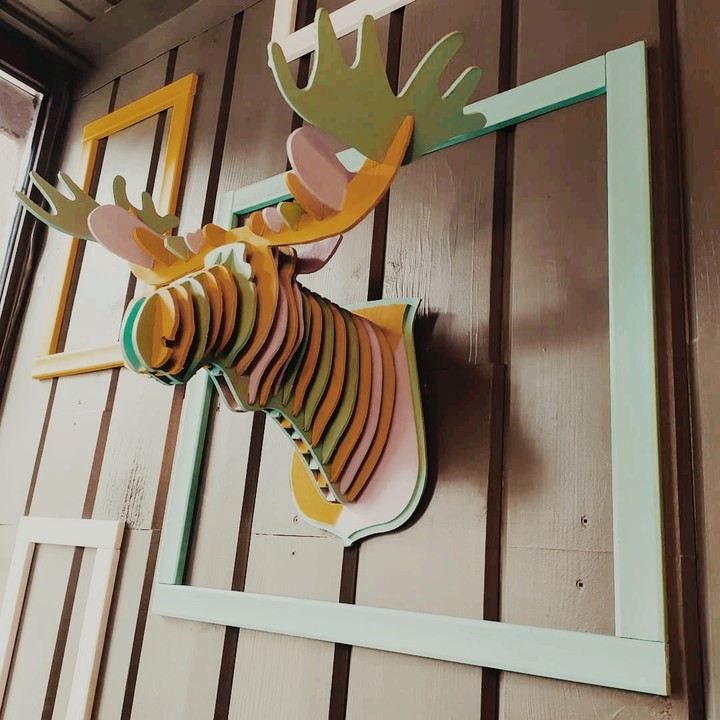 Moose