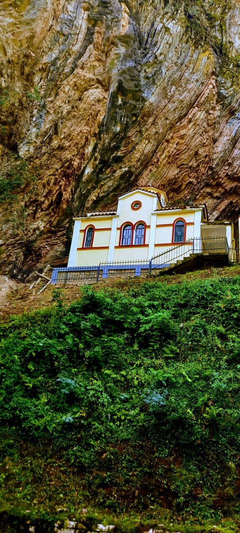 hình nền tree, holy