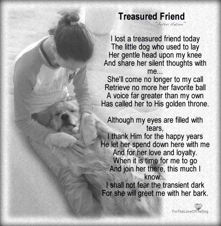Treasured Friend