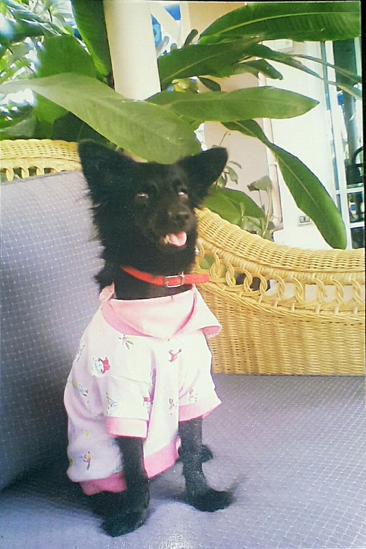 Blacky